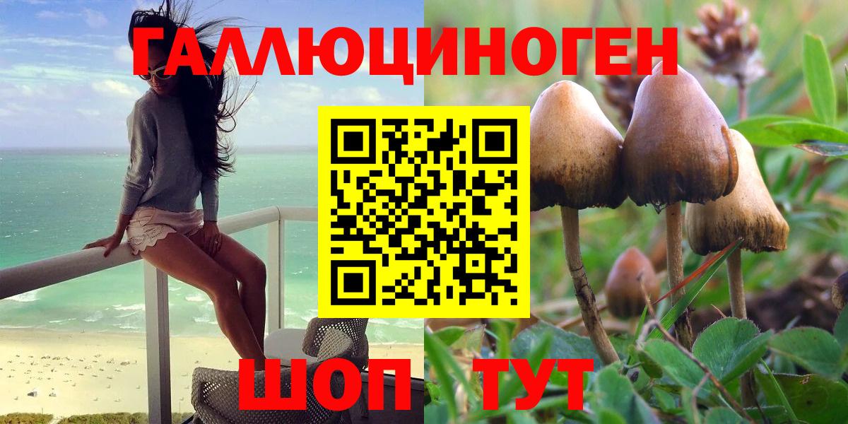Алексин  Галлюциногенные грибы Cubensis  Псилоцибиновые грибы GOLDEN TEACHER  Вход с VPN 